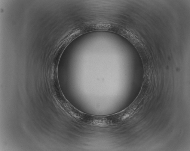 X0000086090744200704091326