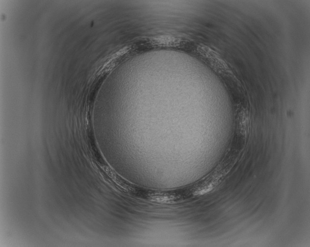 X0000086090746200704091326