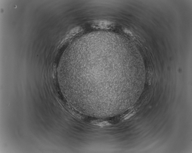 X0000086090747200704091326