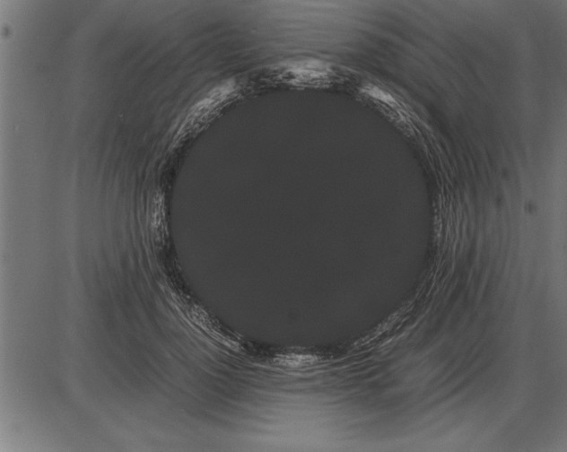 X0000086090748200704091326