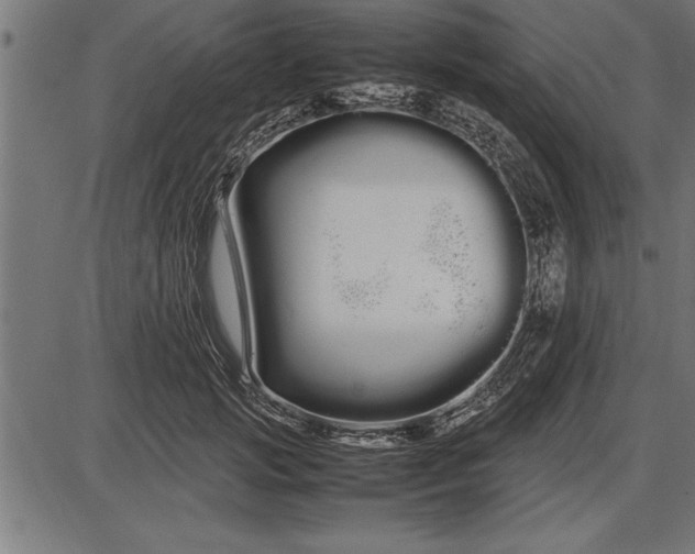 X0000086090749200704091326