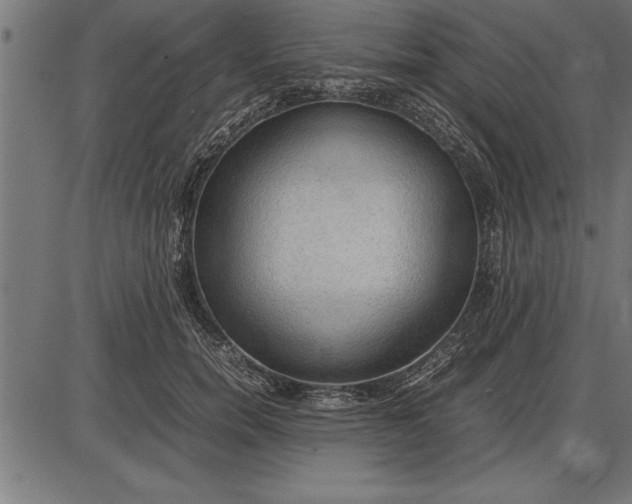 X0000086090750200704091326