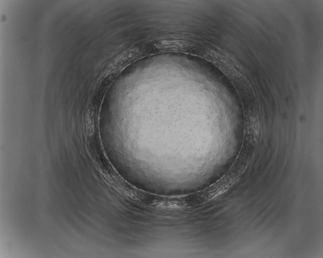 X0000086090751200704091326