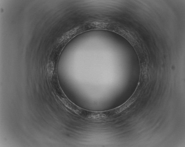 X0000086090752200704091326