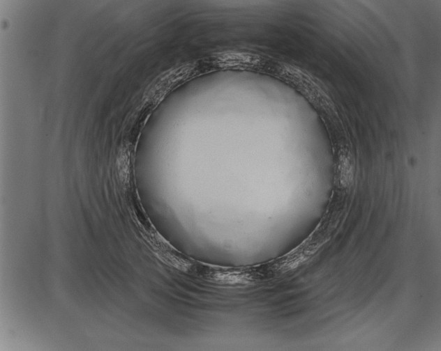 X0000086090753200704091326