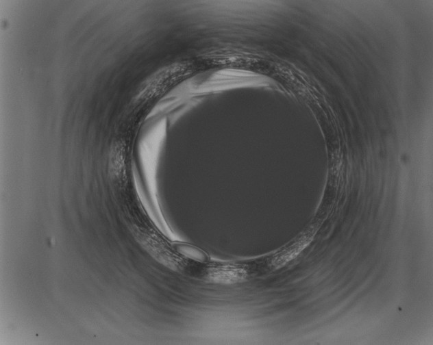 X0000086090754200704091326