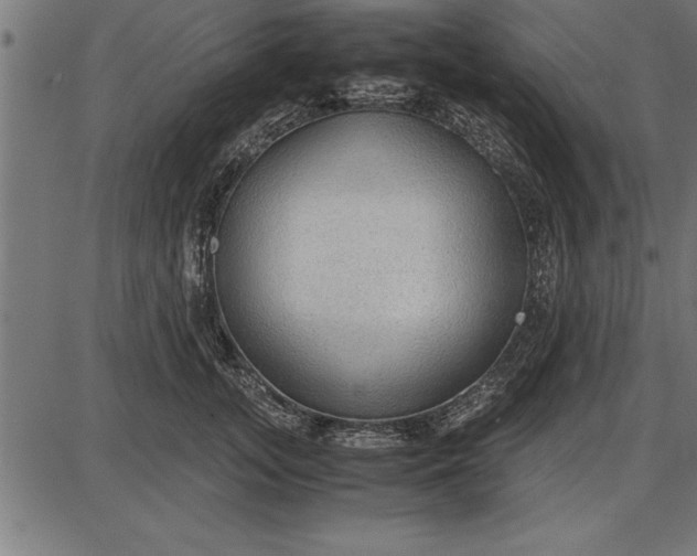 X0000086090755200704091326