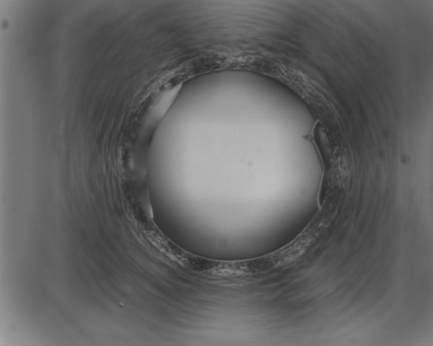 X0000086090756200704091326