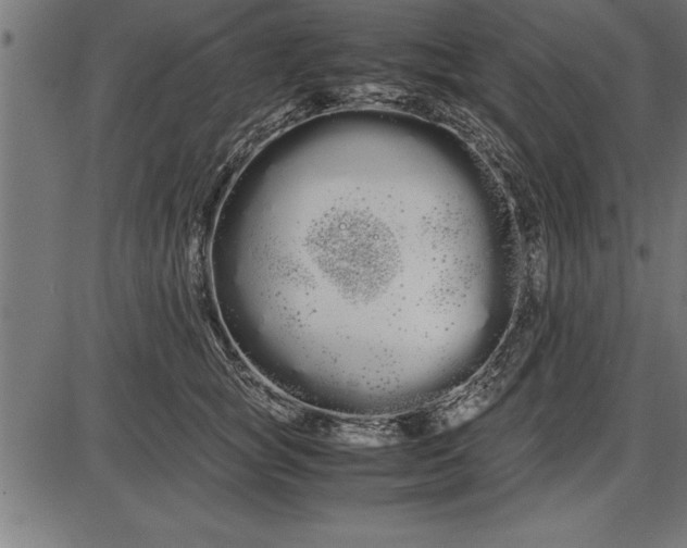 X0000086090757200704091326