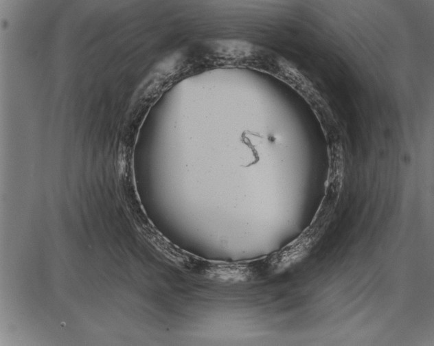 X0000086090758200704091326