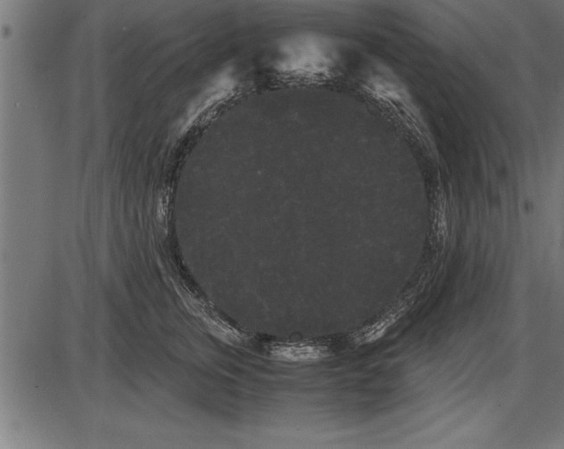 X0000086090759200704091326