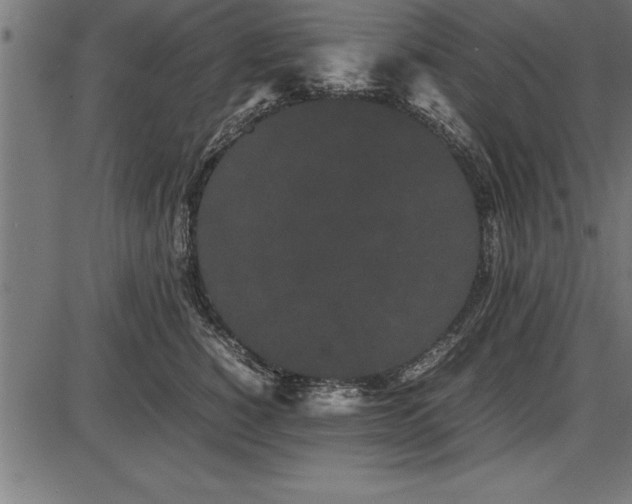 X0000086090760200704091326