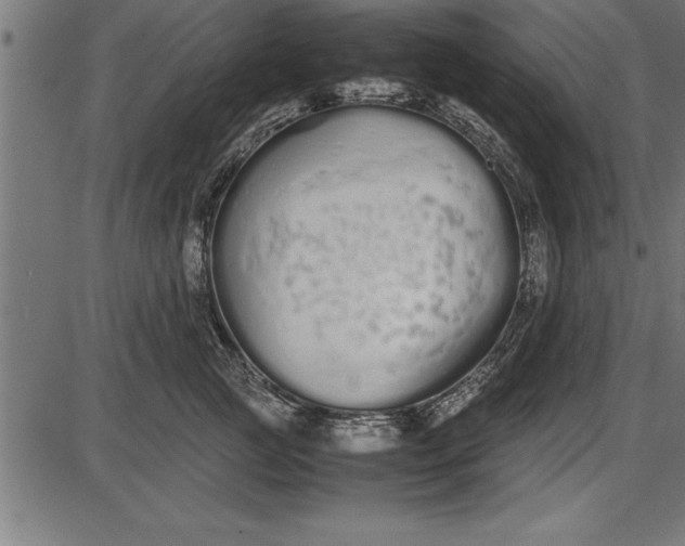 X0000086090761200704091326