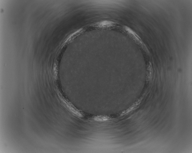 X0000086090762200704091326