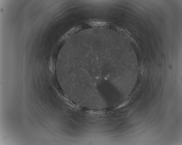 X0000086090763200704091326