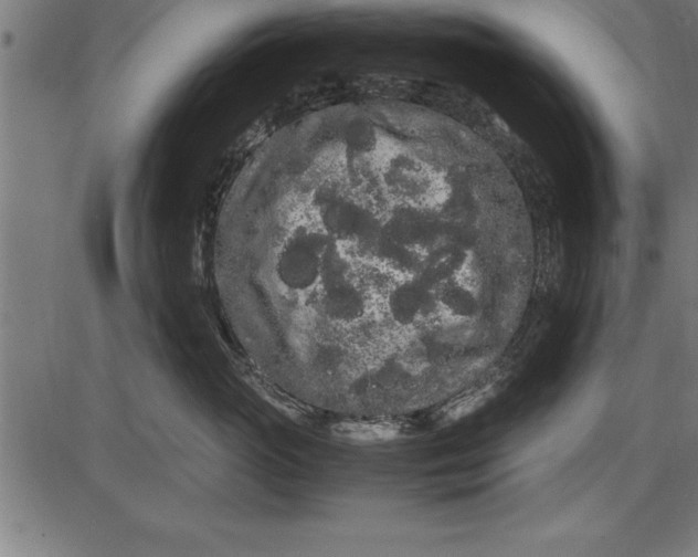 X0000086090765200704091326