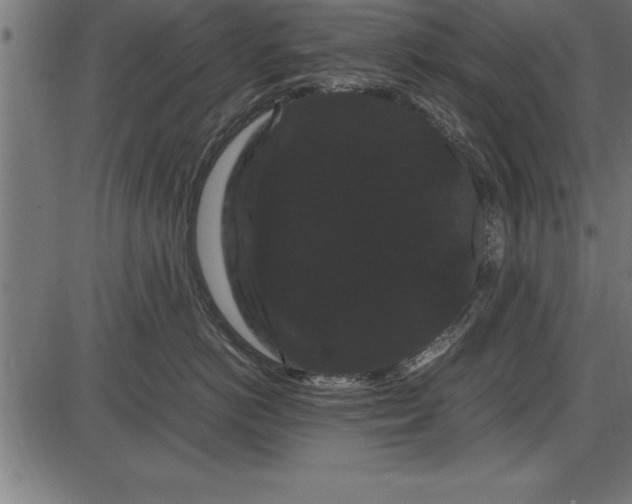 X0000086090766200704091326