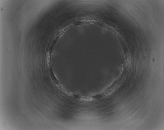 X0000086090767200704091326