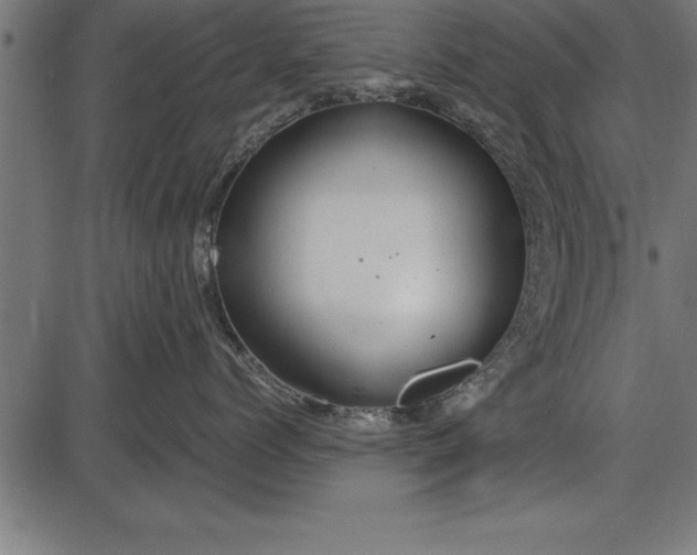 X0000086090768200704091326