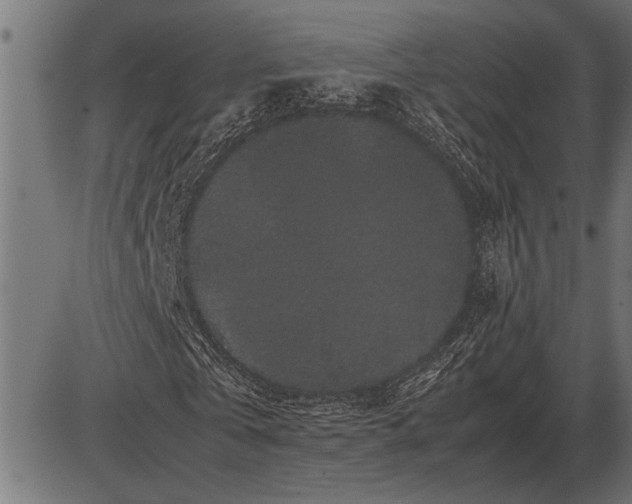 X0000086090769200704091326