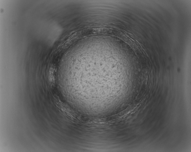 X0000086090770200704091326