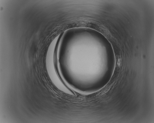 X0000086090771200704091326