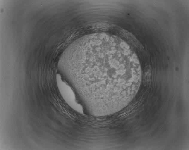 X0000086090772200704091326