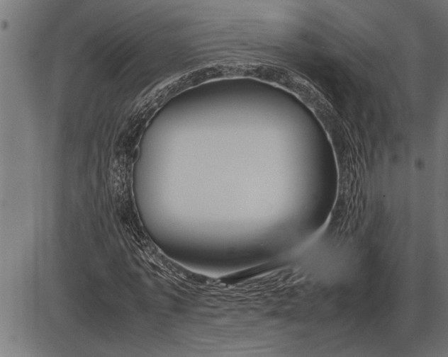 X0000086090773200704091326