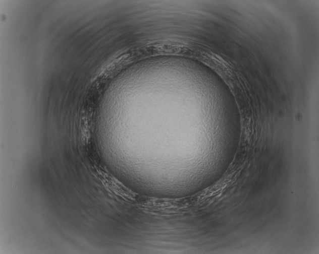 X0000086090774200704091326