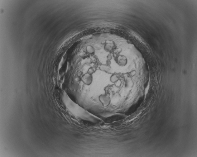 X0000086090775200704091326