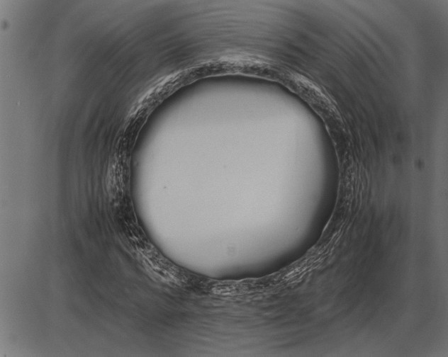 X0000086090776200704091326