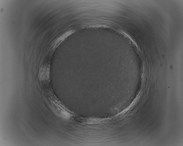 X0000086090777200704091326