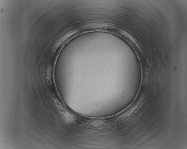 X0000086090778200704091326