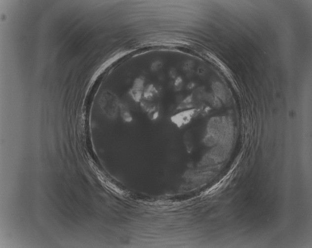 X0000086090779200704091325