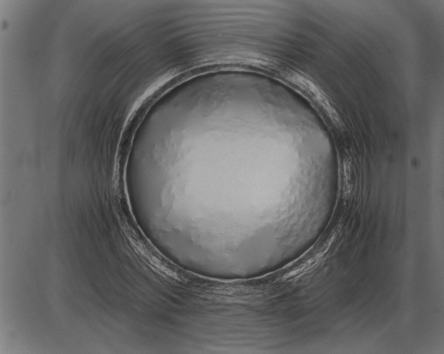 X0000086090780200704091325