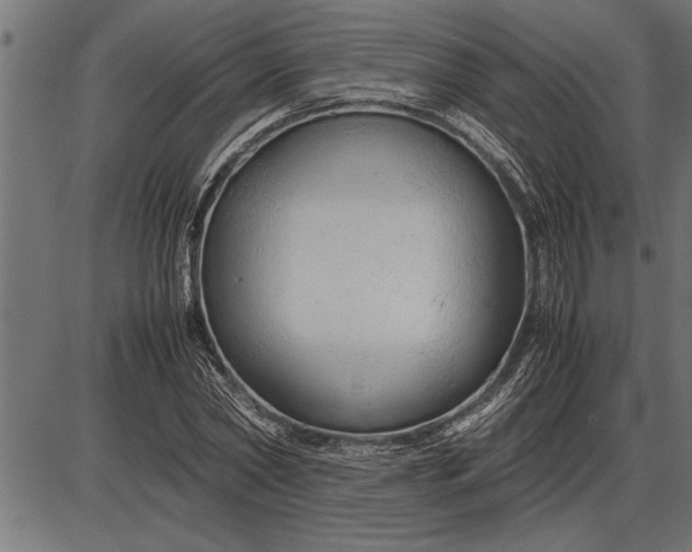 X0000086090782200704091325