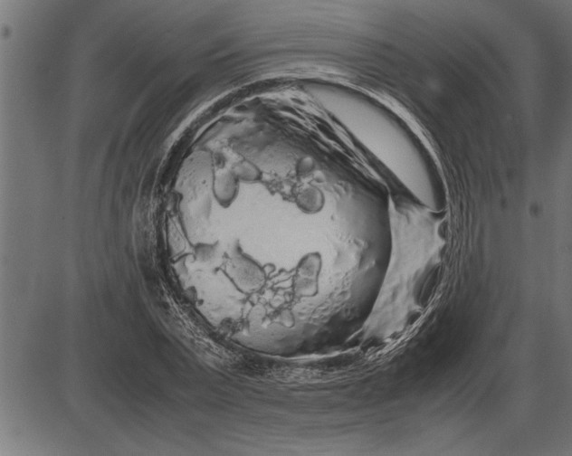 X0000086090783200704091325