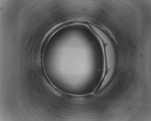 X0000086090784200704091325