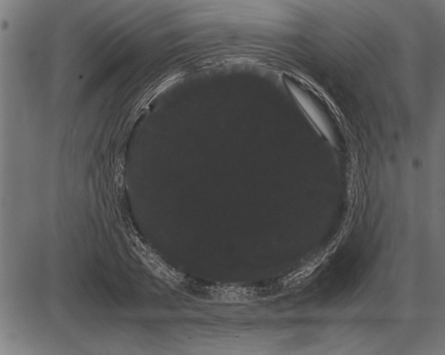 X0000086090785200704091325