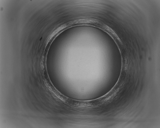 X0000086090786200704091325