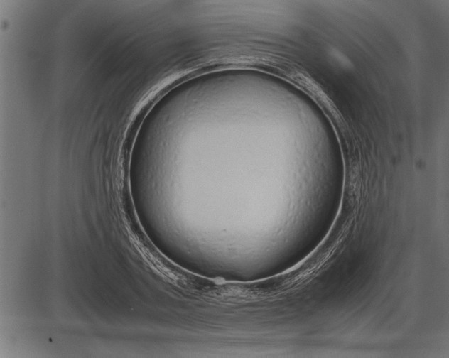 X0000086090787200704091325