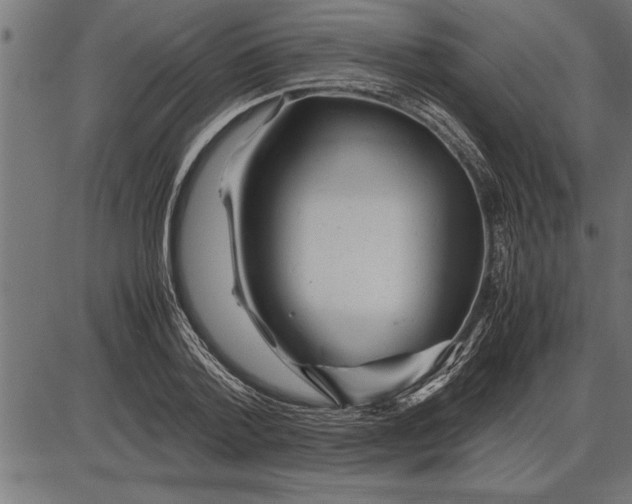 X0000086090788200704091325