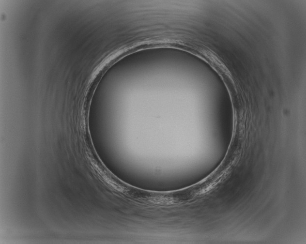 X0000086090789200704091325