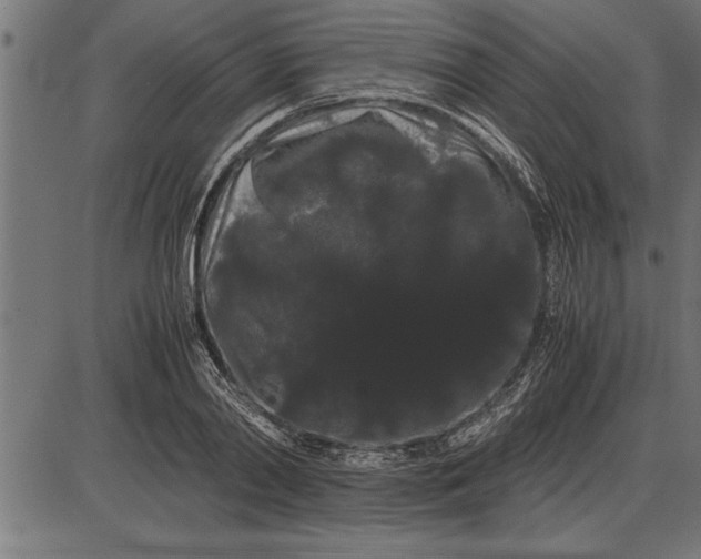 X0000086090790200704091325