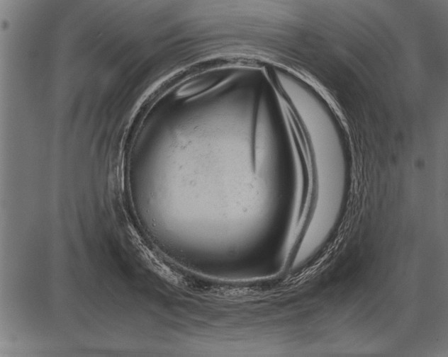 X0000086090791200704091325