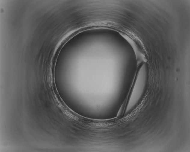 X0000086090792200704091325