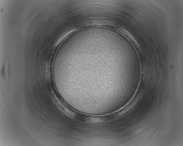 X0000086090794200704091325