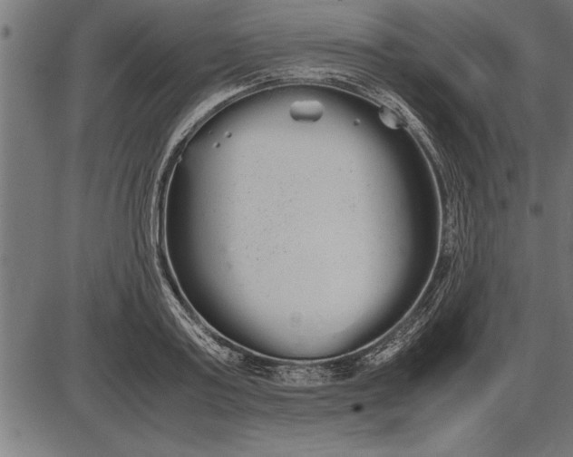 X0000086090795200704091325