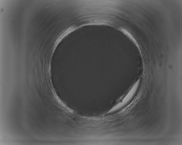 X0000086090797200704091325