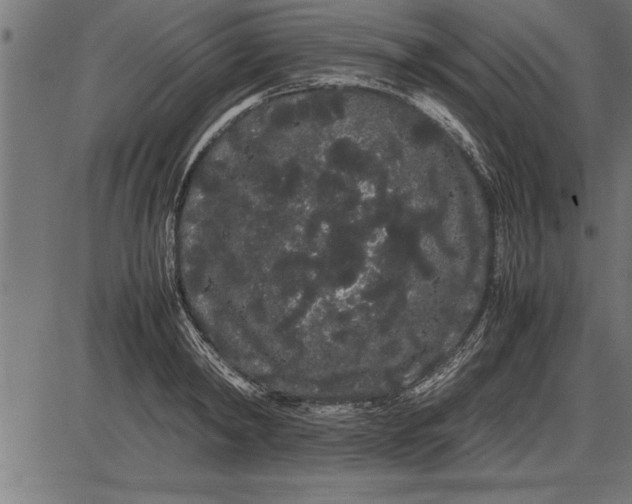 X0000086090798200704091325